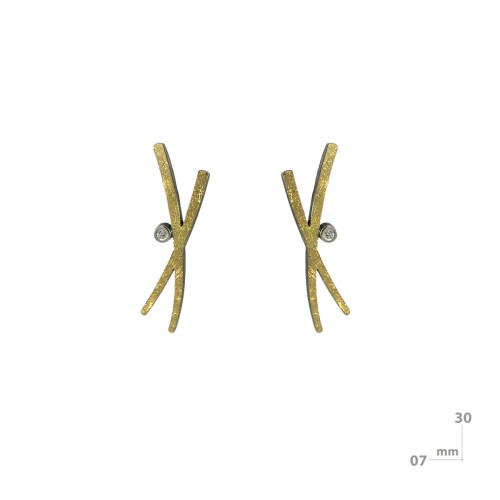 Arracades de plata, or i DIAMANT LAB