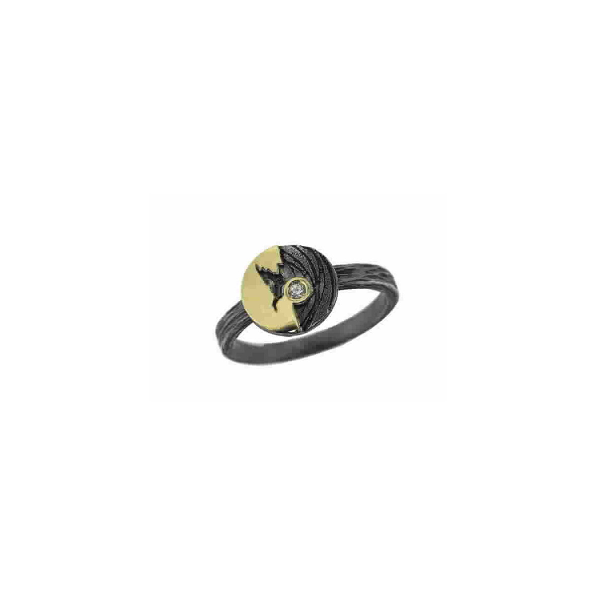 Silver, gold and brilliant ring