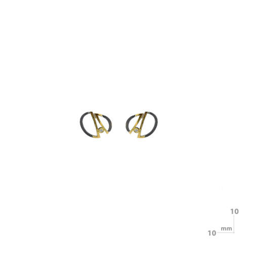 Silver, gold and brilliant earrings