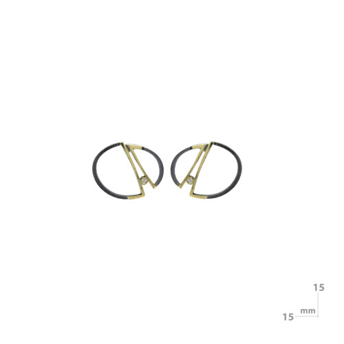 Silver, gold and brilliant earrings
