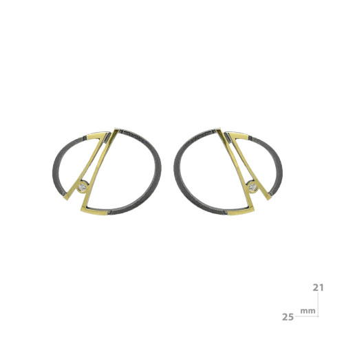 Silver, gold and brilliant earrings