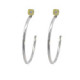 Silver, gold and brilliant earrings