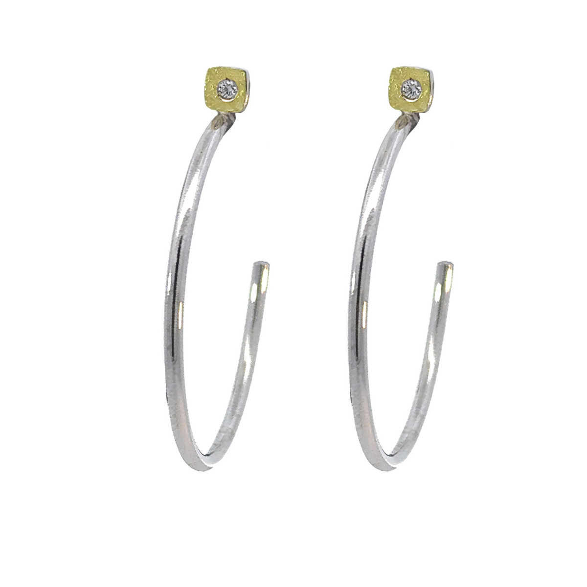 Silver, gold and brilliant earrings