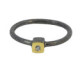 Silver, gold and brilliant ring