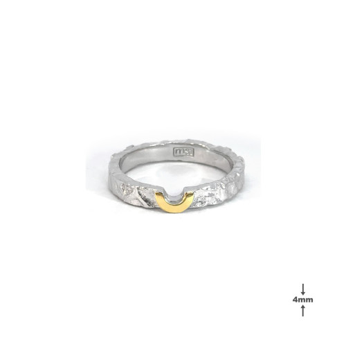 Alianza de plata y oro