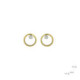 Silver, gold and brilliant earrings
