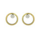 Silver, gold and brilliant earrings