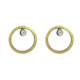 Silver, gold and brilliant earrings