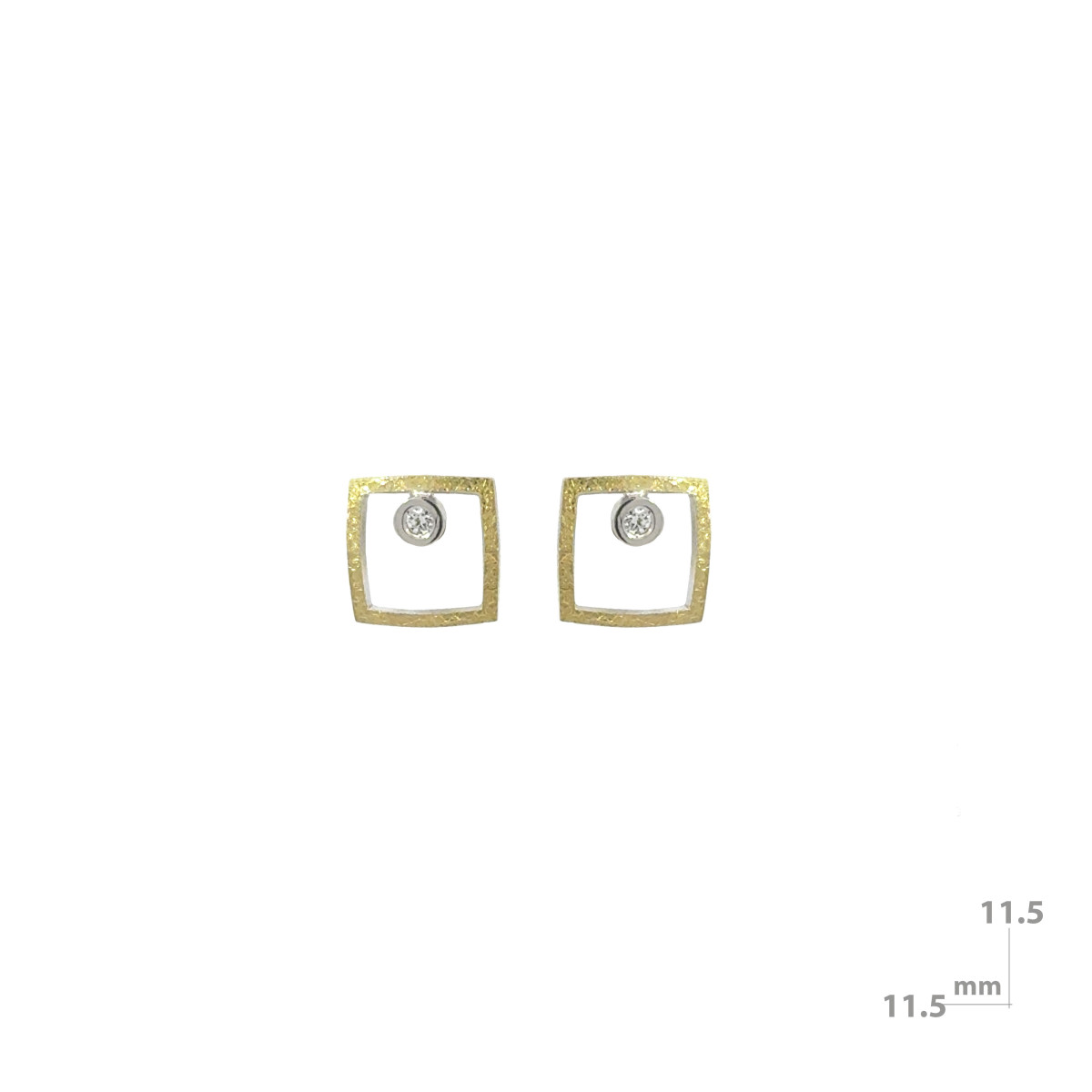 Silver, gold and brilliant earrings