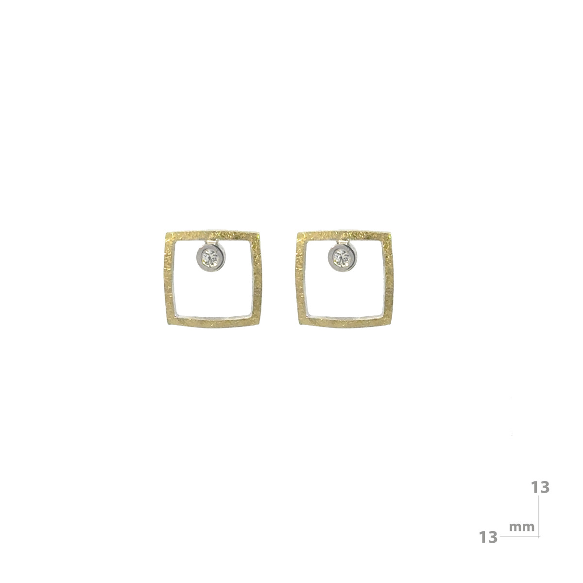 Silver, gold and brilliant earrings