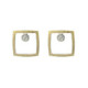 Silver, gold and brilliant earrings