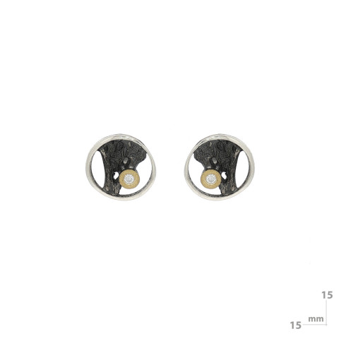 Arracades de plata, or i brillant lab