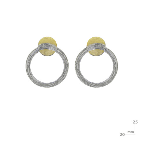 Earrings made of silver and gold