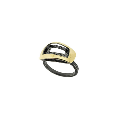 Silver and gold ring