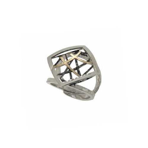 Silver and gold ring