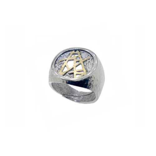 Silver, gold and brilliant ring