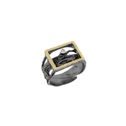 Silver, gold and brilliant ring