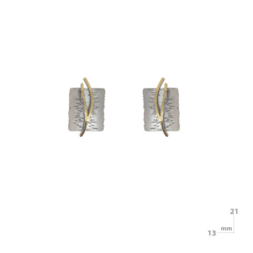 Silver and gold earrings