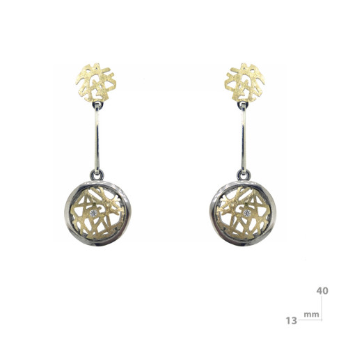 Silver, gold and brilliant earrings