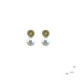 Silver, gold, shiny and pearl earrings