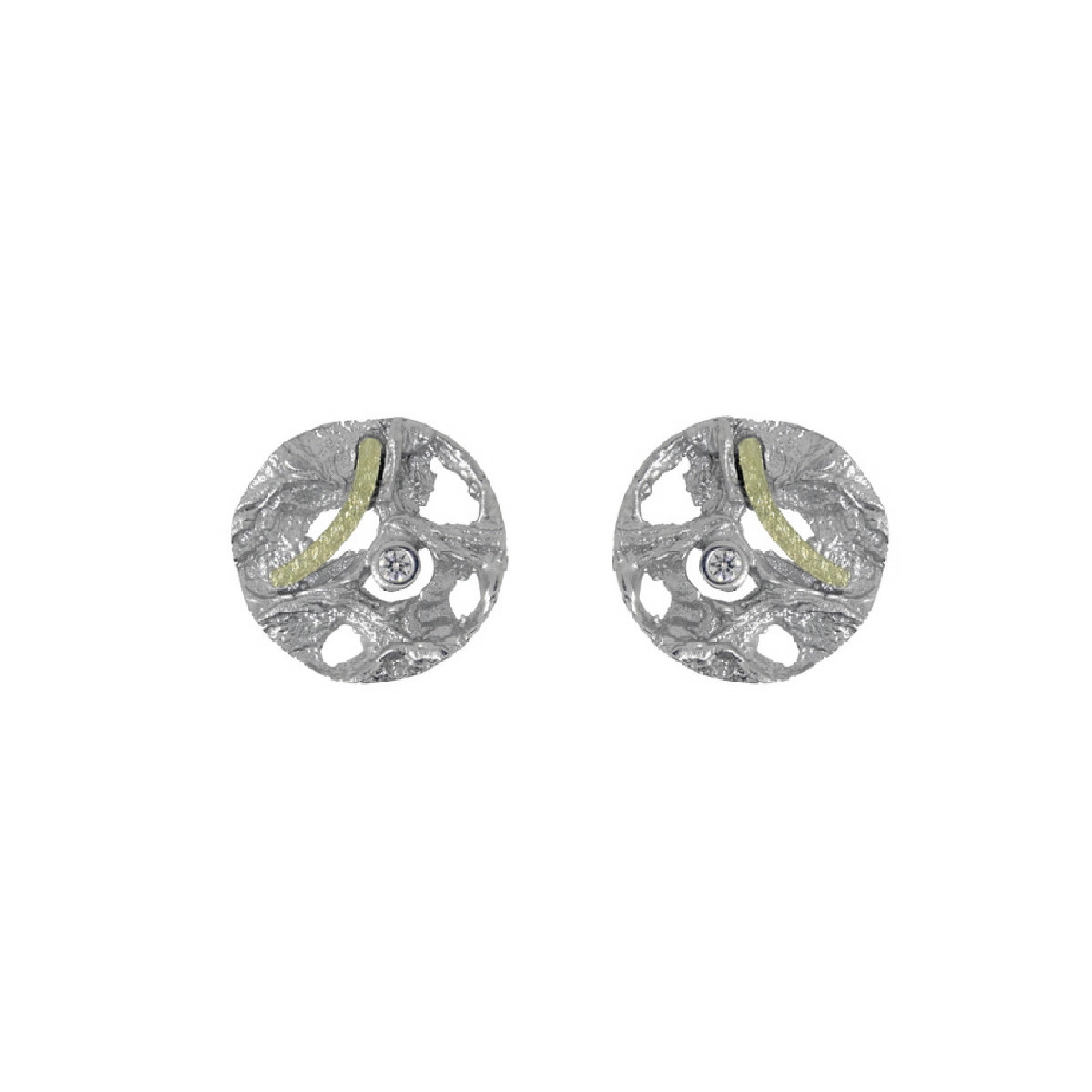 Silver, gold and brilliant earrings