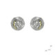 Silver, gold and brilliant earrings