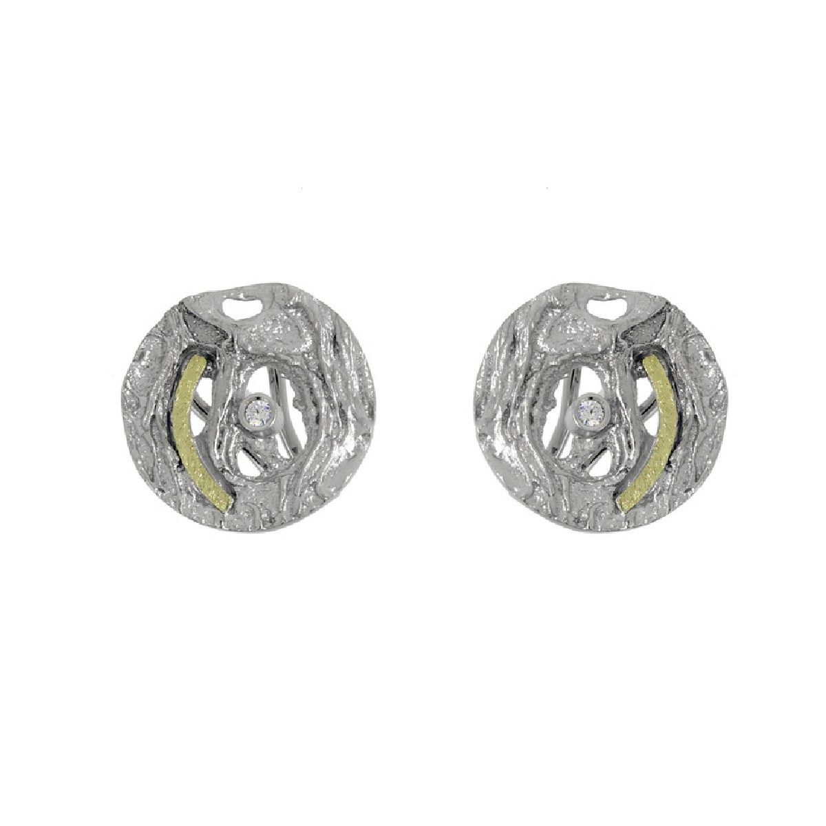 Silver, gold and brilliant earrings