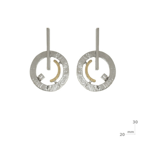 Silver, gold and brilliant earrings