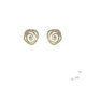 Silver, gold and brilliant earrings