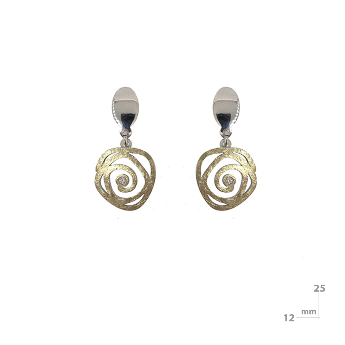 Silver, gold and brilliant earrings