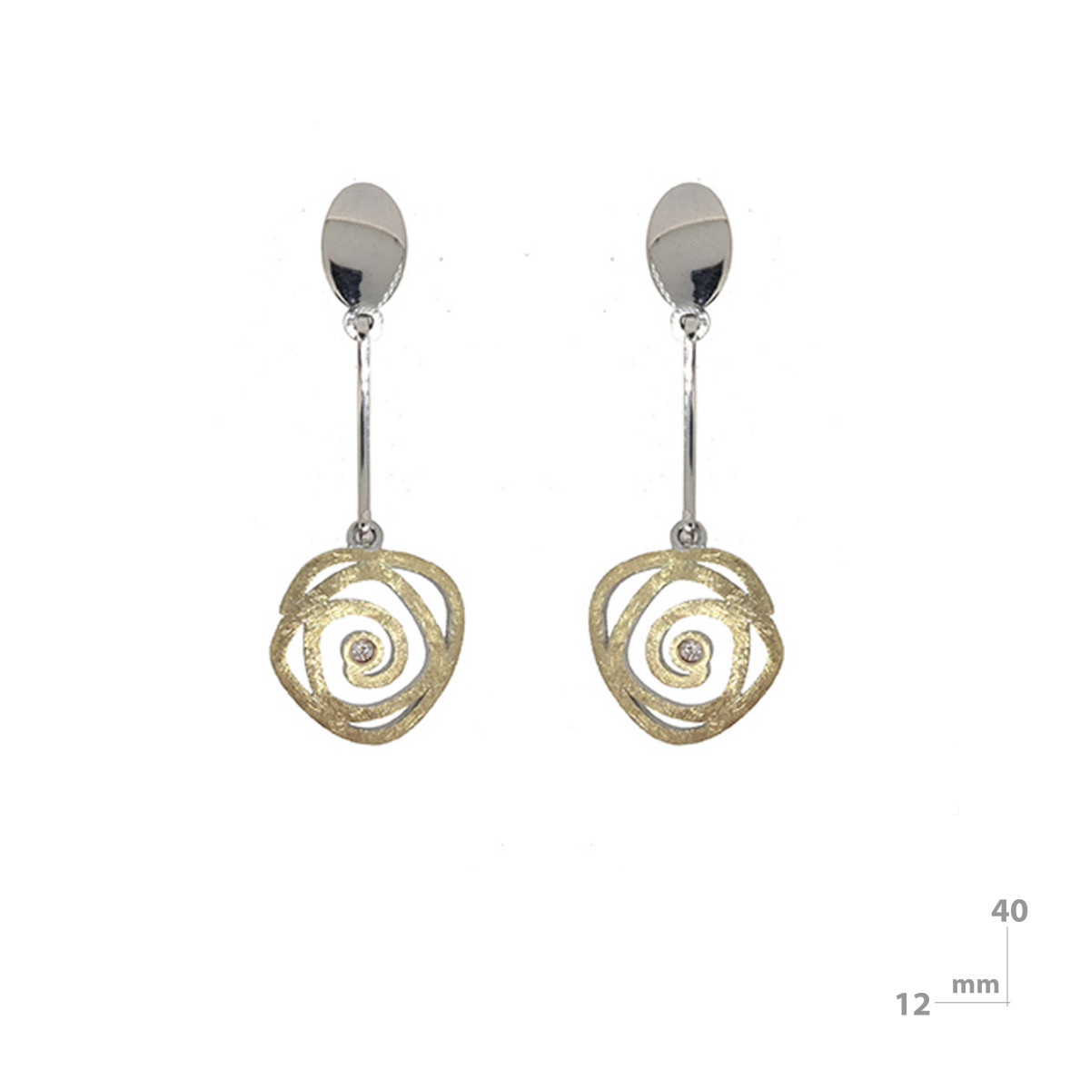 Silver, gold and brilliant earrings