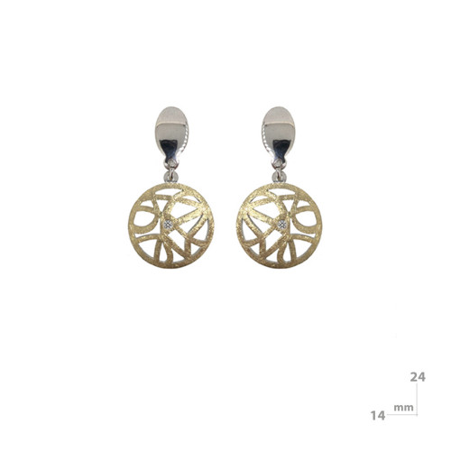 Silver, gold and brilliant earrings