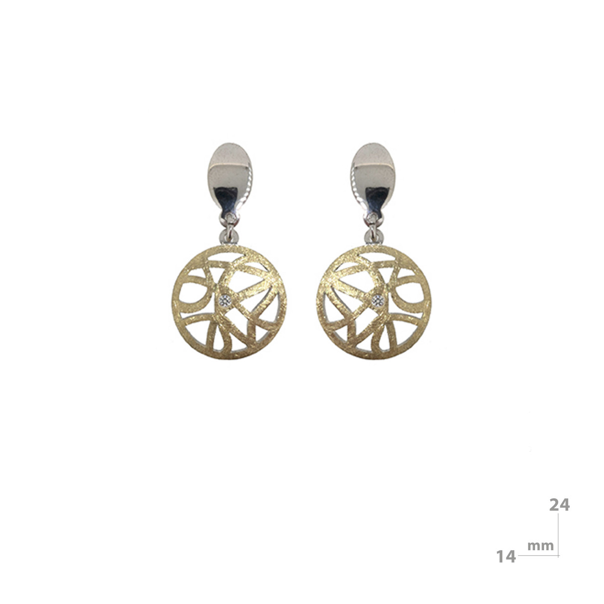 Silver, gold and brilliant earrings
