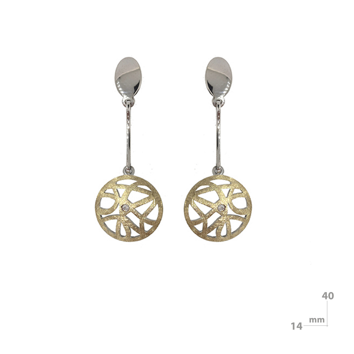 Silver, gold and brilliant earrings