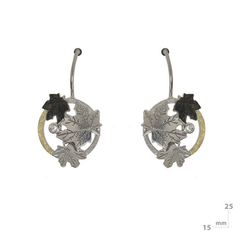 Silver, gold and brilliant earrings