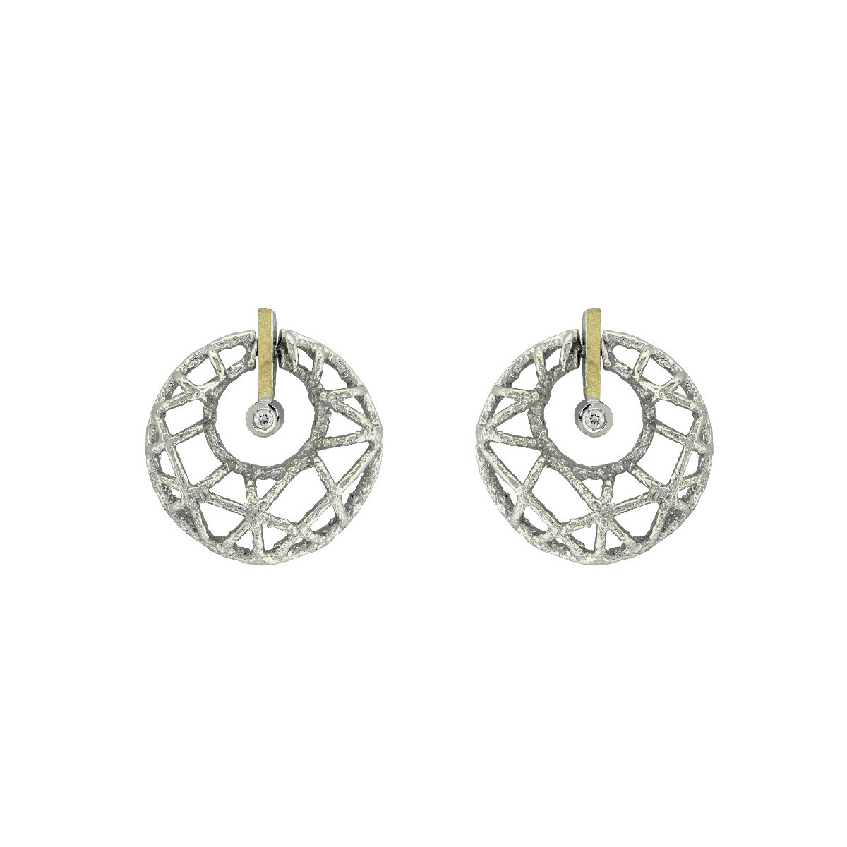 Silver, gold and brilliant earrings