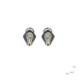 Arrecades de plata, or i brillants