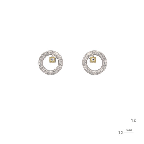 Arrecades de plata,or i brillants