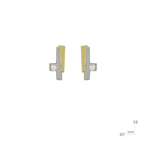 Silver, gold and brilliant earrings