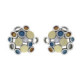 Arracades de plata, or, esmalt i brillant