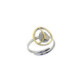 Silver, gold and brilliant ring