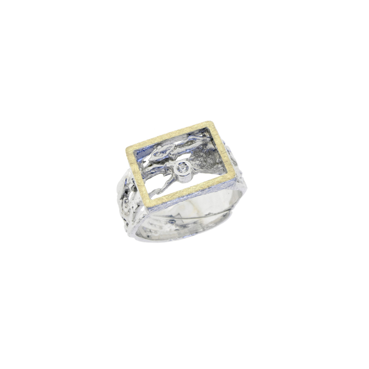 Silver, gold and brilliant ring