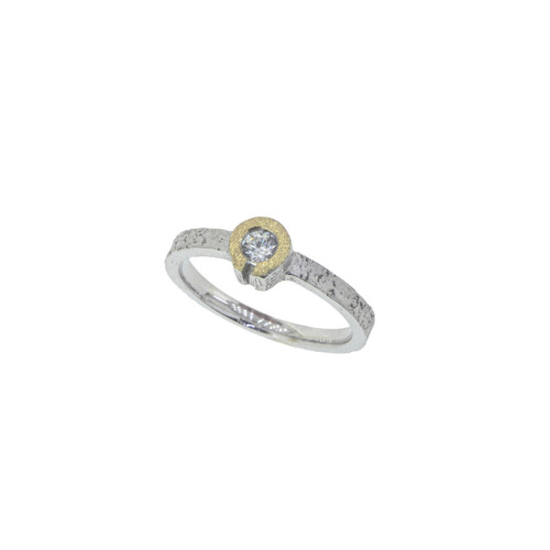 Silver, gold and brilliant ring