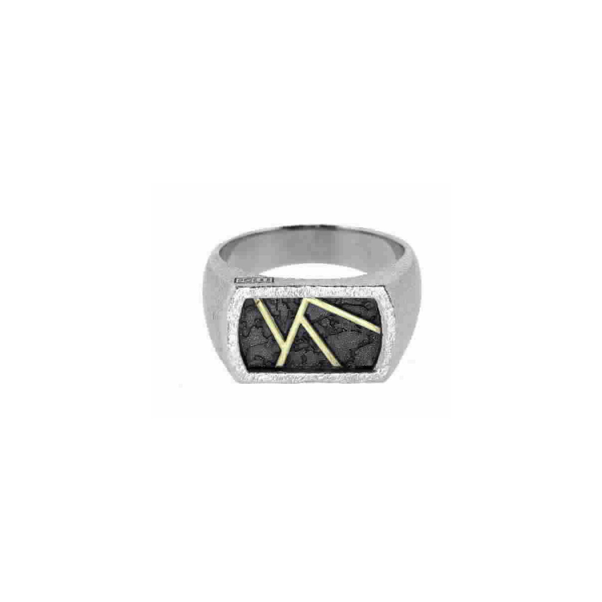 Silver and gold ring