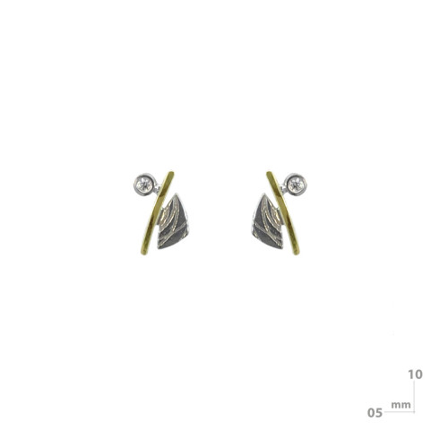 Silver, gold and brilliant earrings