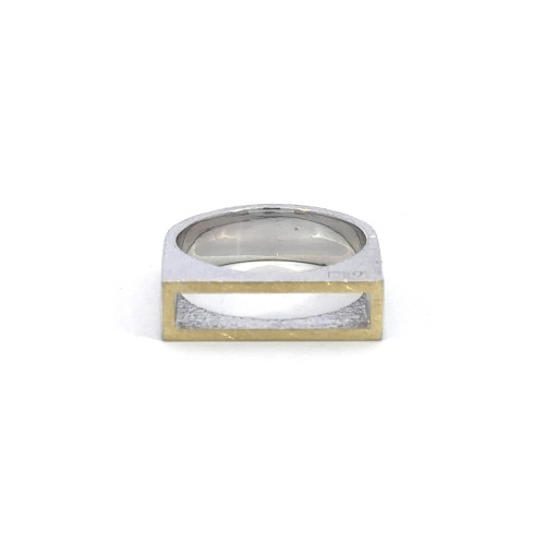 Silver and gold ring