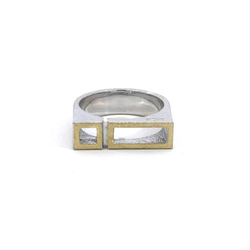 Silver and gold ring