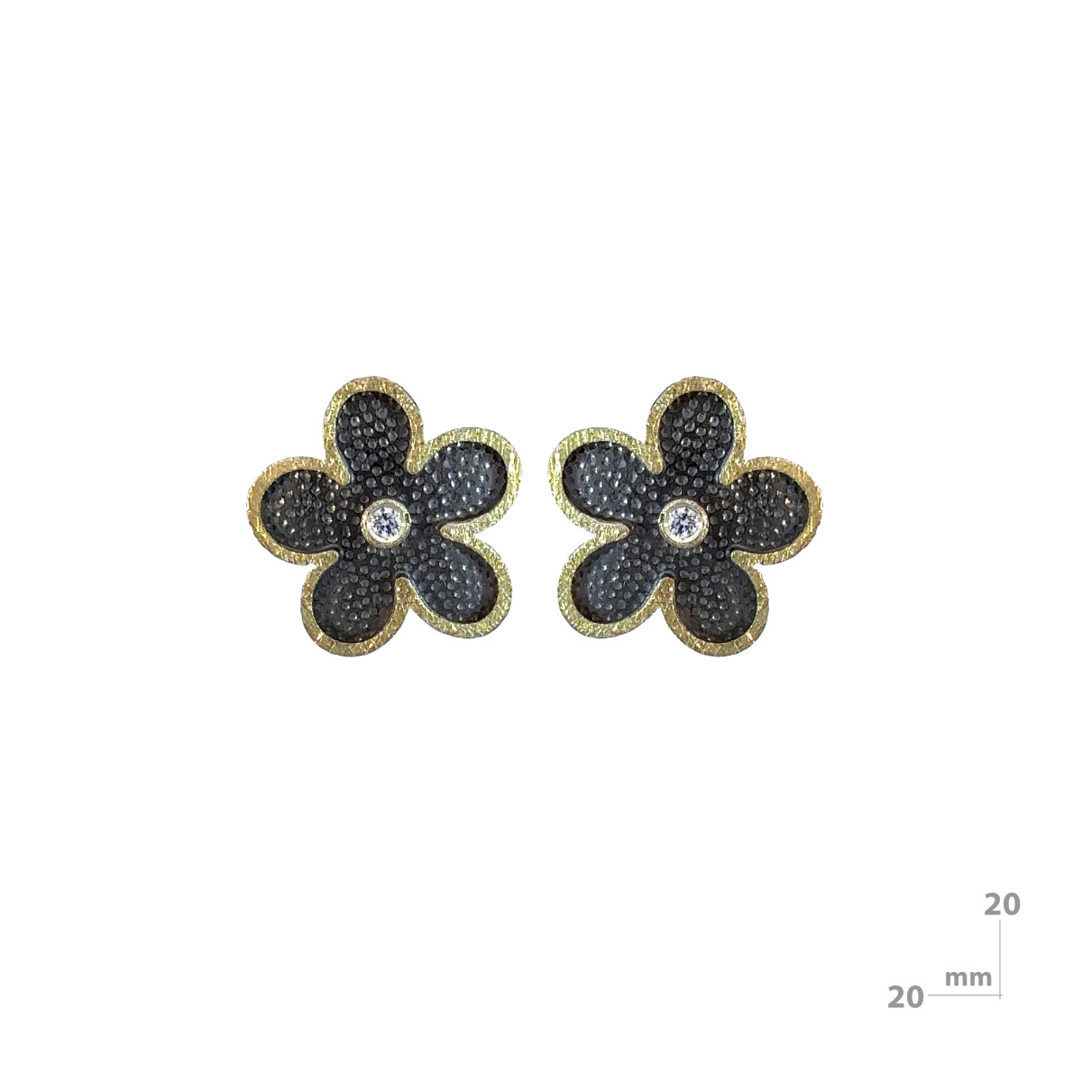 Silver, gold and brilliant earrings