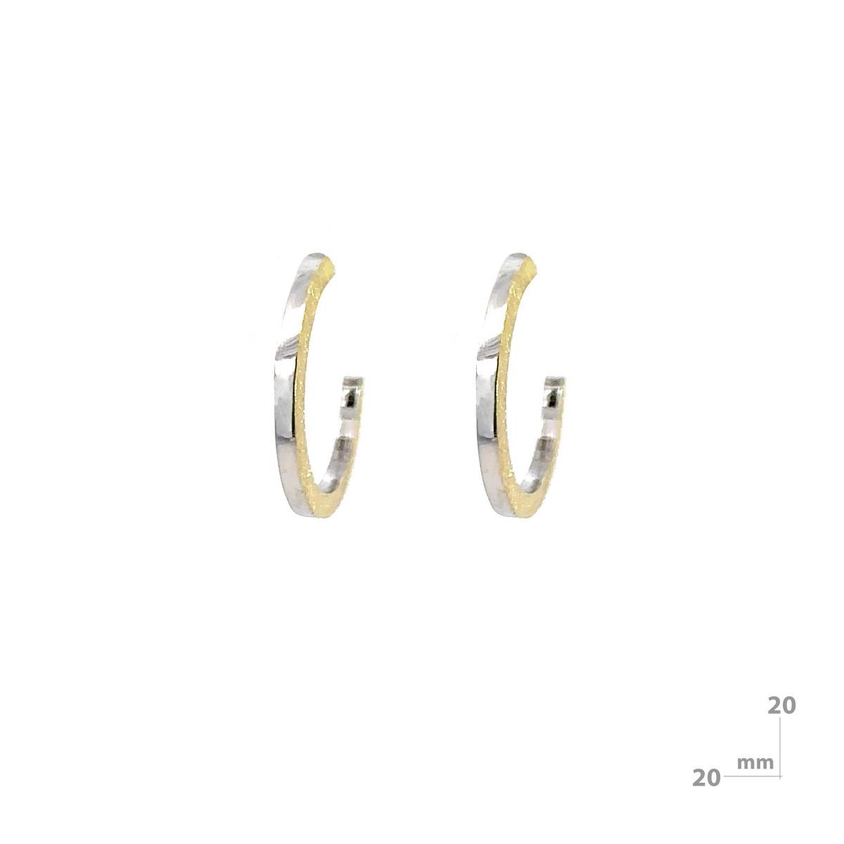 Silver and gold creole