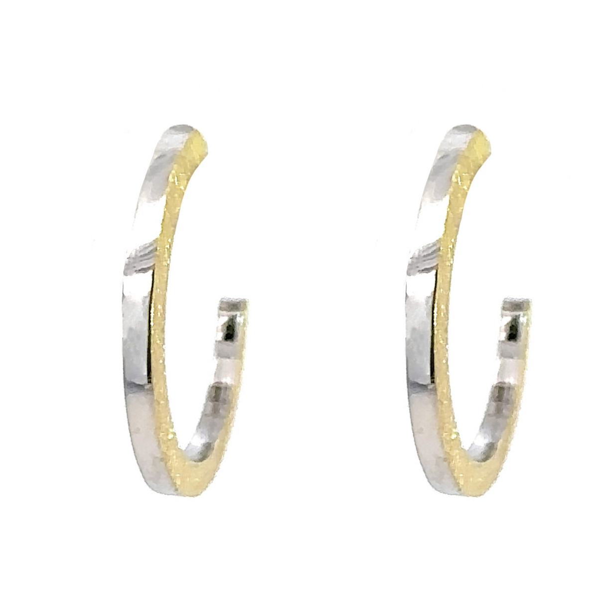 Silver and gold creole